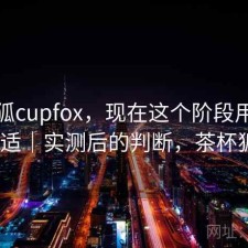 茶杯狐cupfox，现在这个阶段用合不合适｜实测后的判断，茶杯狐a