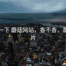 体验一下 蘑菇网站，香不香，蘑菇网片