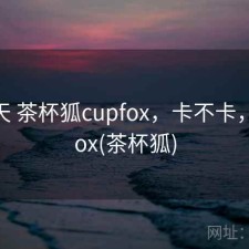 这两天 茶杯狐cupfox，卡不卡，cupfox(茶杯狐)
