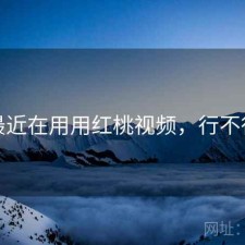 最近在用用红桃视频，行不行