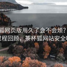 茶杯狐网页版用久了会不会烦？体验过程回顾，茶杯狐网站安全吗