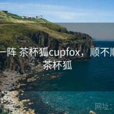 用了一阵 茶杯狐cupfox，顺不顺，1.茶杯狐