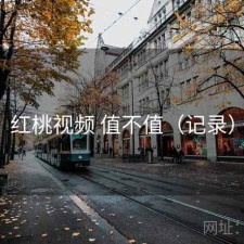 红桃视频 值不值（记录）