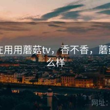 最近在用用蘑菇tv，香不香，蘑菇tv怎么样