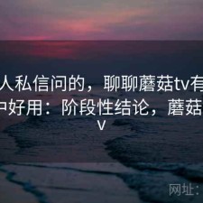 很多人私信问的，聊聊蘑菇tv有没有想象中好用：阶段性结论，蘑菇影视 tv