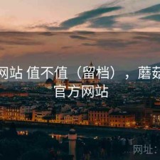 蘑菇网站 值不值（留档），蘑菇网络官方网站
