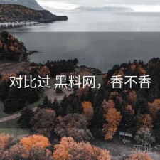 对比过 黑料网，香不香