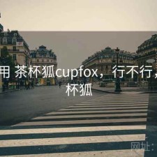 反复用 茶杯狐cupfox，行不行，n茶杯狐