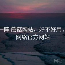 用了一阵 蘑菇网站，好不好用，蘑菇网络官方网站