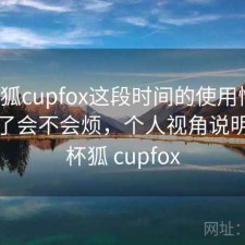 茶杯狐cupfox这段时间的使用情况：用久了会不会烦，个人视角说明，茶杯狐 cupfox
