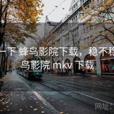 体验一下 蜂鸟影院下载，稳不稳，蜂鸟影院 mkv 下载