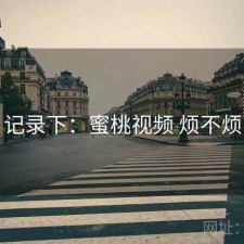 记录下：蜜桃视频 烦不烦