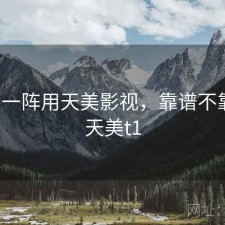 用了一阵用天美影视，靠谱不靠谱，天美t1