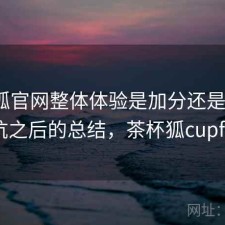 茶杯狐官网整体体验是加分还是减分？踩坑之后的总结，茶杯狐cupfoxa