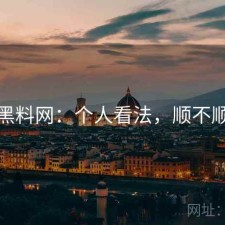 黑料网：个人看法，顺不顺
