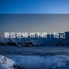 蘑菇视频 烦不烦｜随记