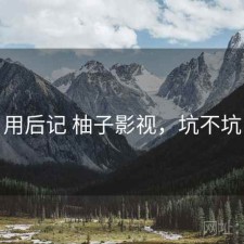 用后记 柚子影视，坑不坑