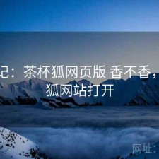 用后记：茶杯狐网页版 香不香，茶杯狐网站打开