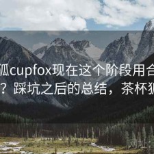 茶杯狐cupfox现在这个阶段用合不合适？踩坑之后的总结，茶杯狐a