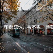 用了一阵 蘑菇tv，香不香，蘑菇突然
