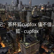随手记：茶杯狐cupfox 值不值，茶杯狐 - cupfox