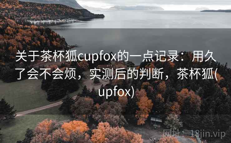 关于茶杯狐cupfox的一点记录：用久了会不会烦，实测后的判断，茶杯狐(upfox)  第1张