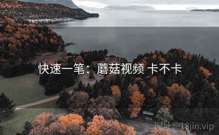 快速一笔:蘑菇视频 卡不卡 第2张 快速一笔:蘑菇视频 卡不卡 第2张