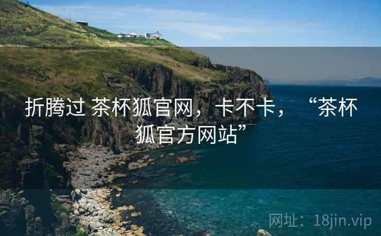 折腾过 茶杯狐官网,卡不卡,“茶杯狐官方网站” 第2张 折腾过 茶杯狐官网,卡不卡,“茶杯狐官方网站” 第2张